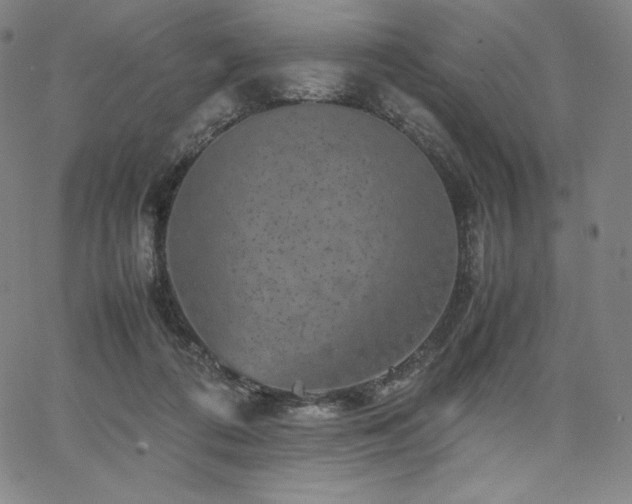 X0000067850312200604131258