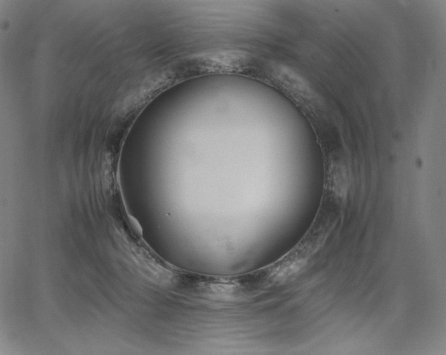 X0000067850318200604131257