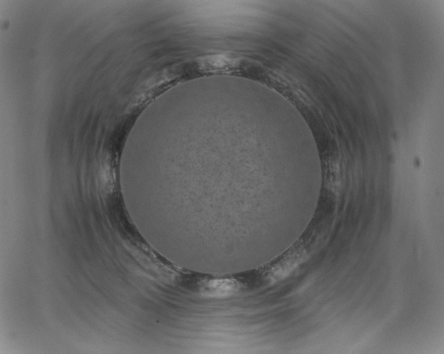 X0000067850324200604131257