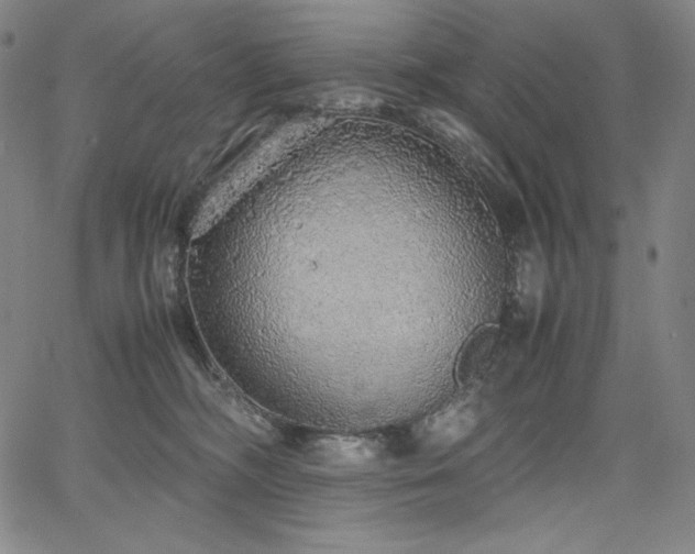 X0000067850326200604131257