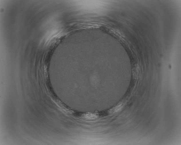 X0000067850327200604131257