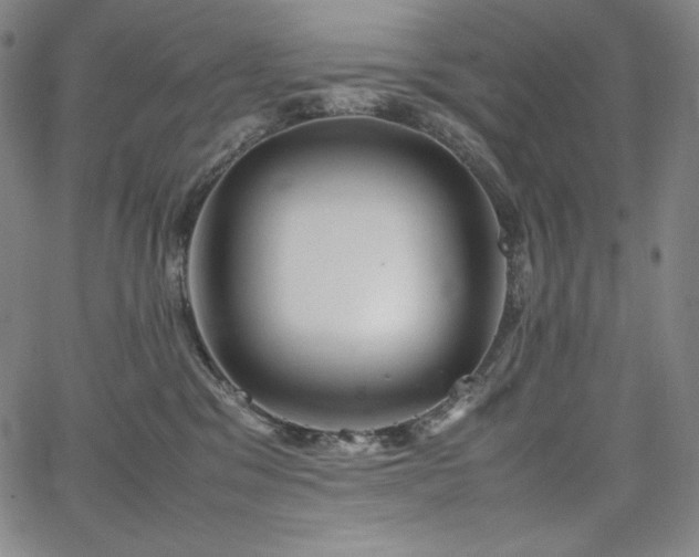 X0000067850329200604131257
