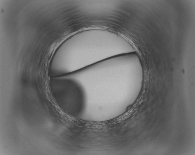 X0000067850337200604131256