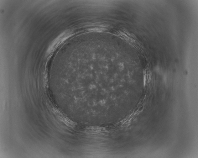 X0000067850339200604131256