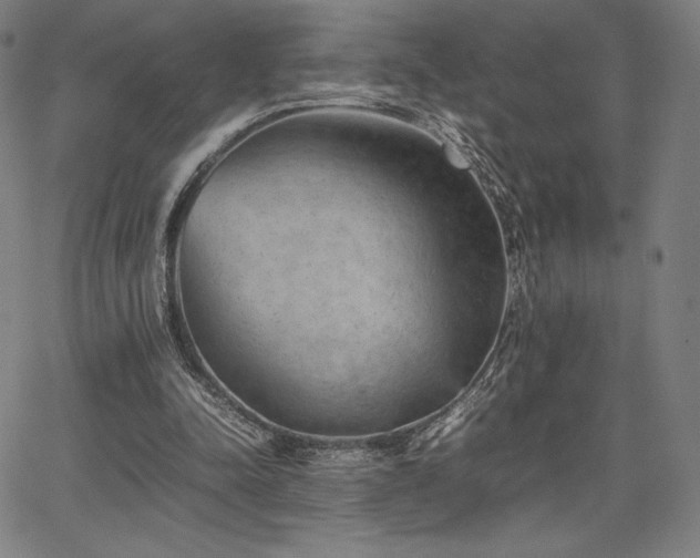 X0000067850342200604131256
