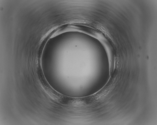 X0000067850348200604131257