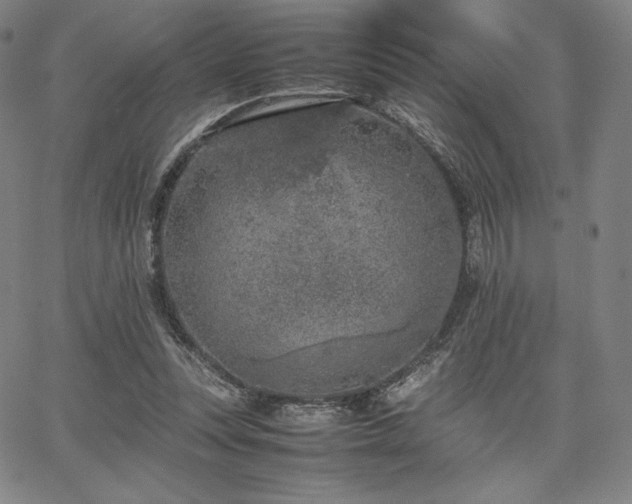 X0000067850351200604131257
