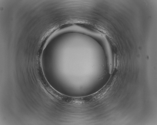 X0000067850352200604131257