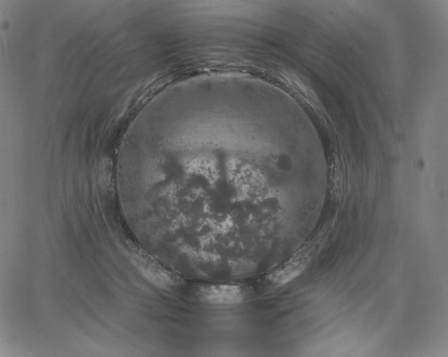X0000067850361200604131257