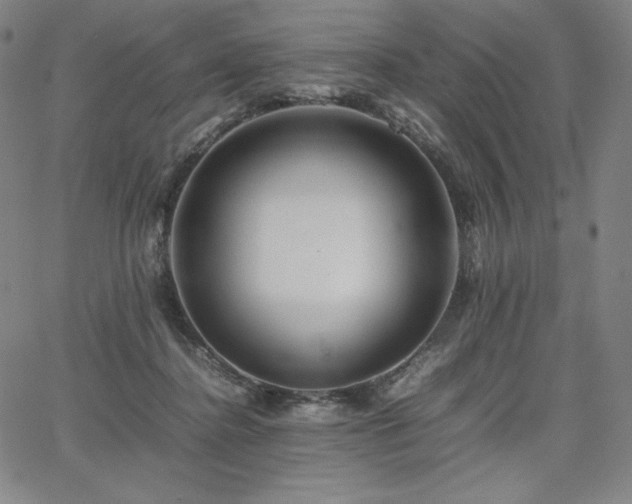 X0000067850364200604131257