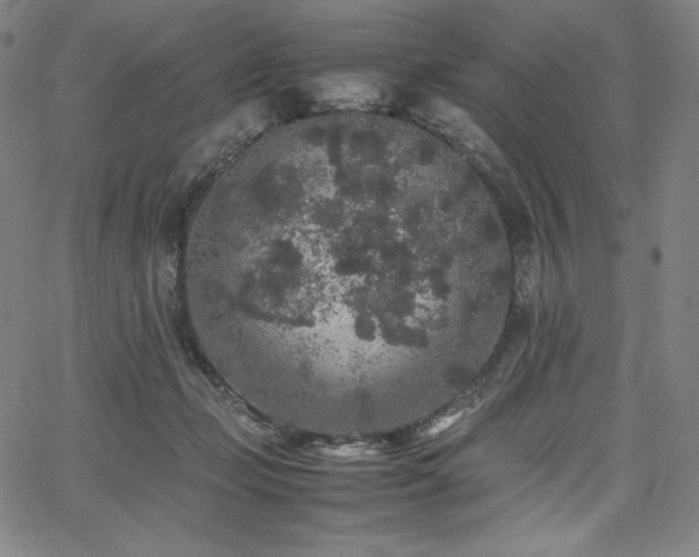 X0000067850365200604131257