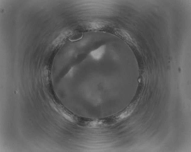 X0000067850366200604131257