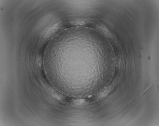 X0000067850374200604131257
