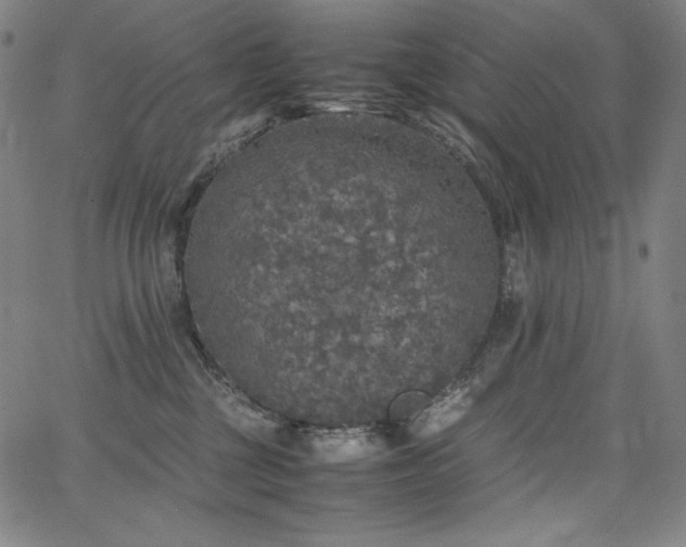 X0000067850377200604131257