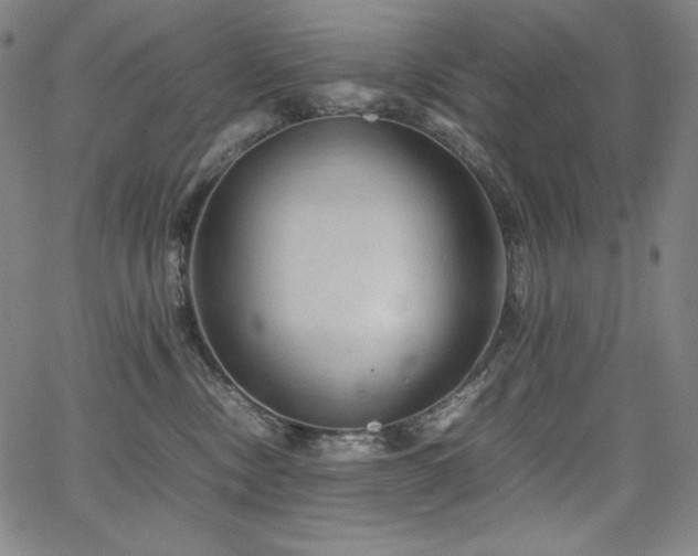 X0000067850378200604131257