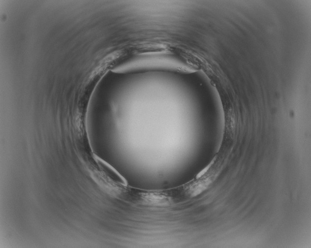X0000067850380200604131257