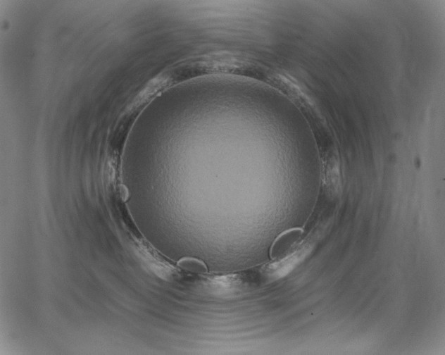 X0000067850382200604131257