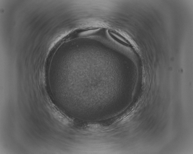 X0000067850391200604131256