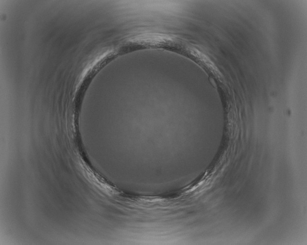 X0000067850399200604131256