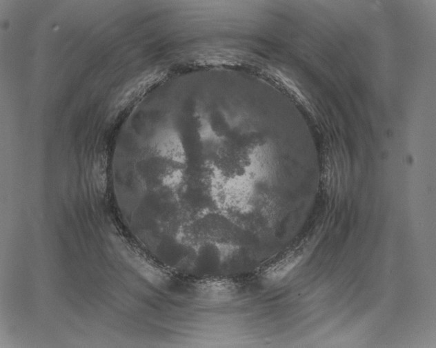 X0000067850402200604131256