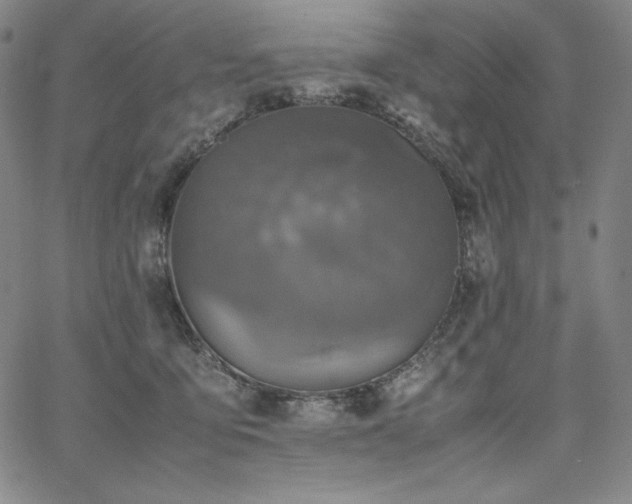 X0000067850419200604131256