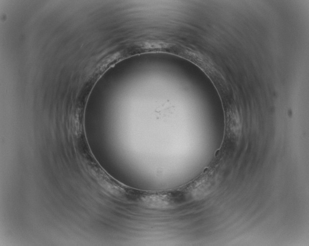 X0000067850422200604131256