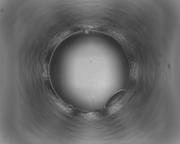 X0000067850430200604131256