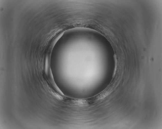 X0000067850432200604131256