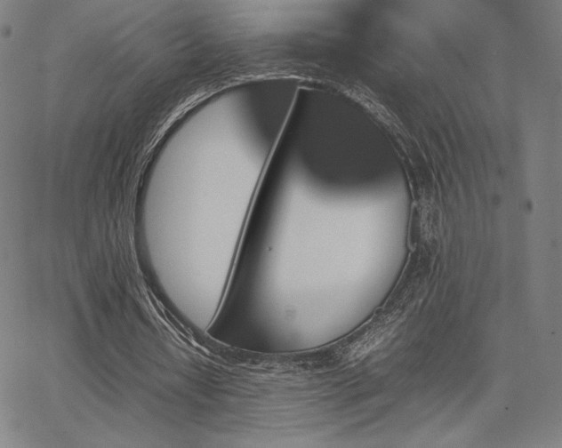 X0000067850434200604131255