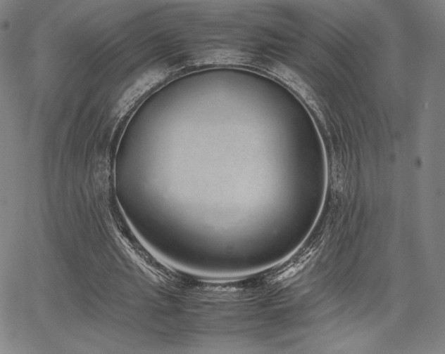 X0000067850437200604131255