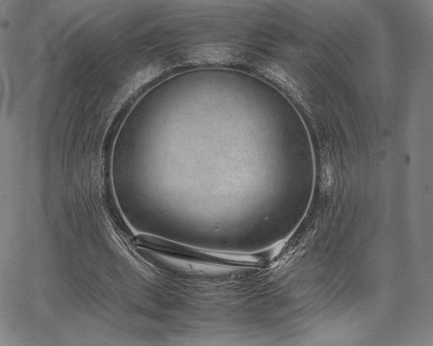 X0000067850439200604131255