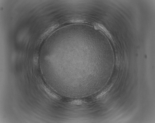 X0000067850441200604131255