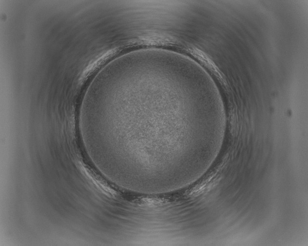 X0000067850442200604131255