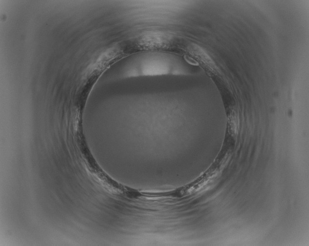 X0000067850458200604131255