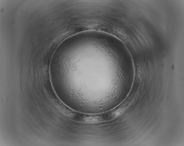 X0000067850461200604131255