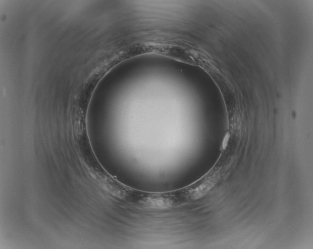 X0000067850464200604131255