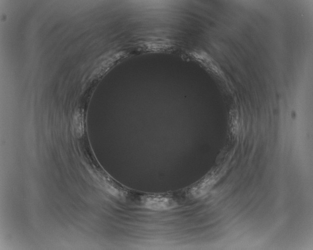 X0000067850471200604131255