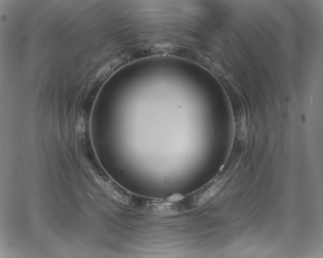 X0000067850472200604131255