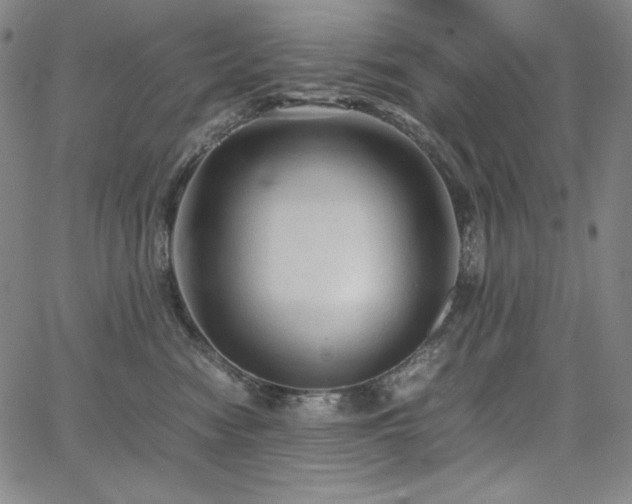 X0000067850474200604131255