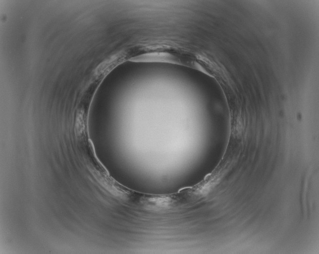 X0000067850478200604131256