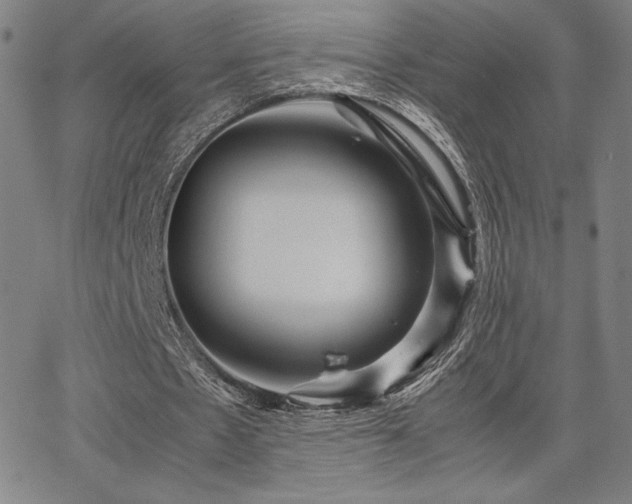 X0000067850481200604131255
