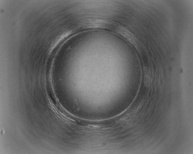 X0000067850482200604131255