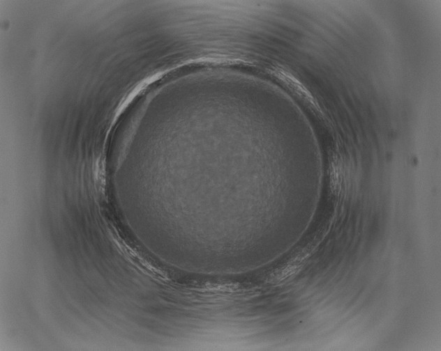 X0000067850484200604131255