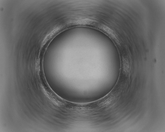 X0000067850486200604131255