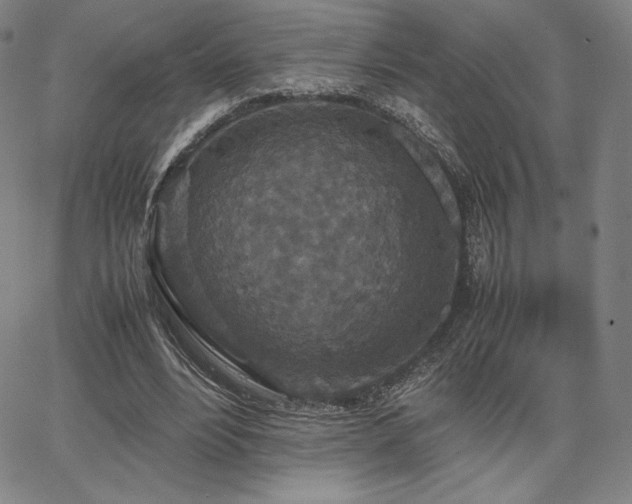 X0000067850488200604131255