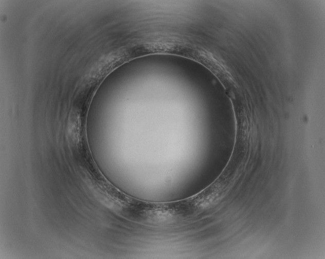 X0000067850498200604131254