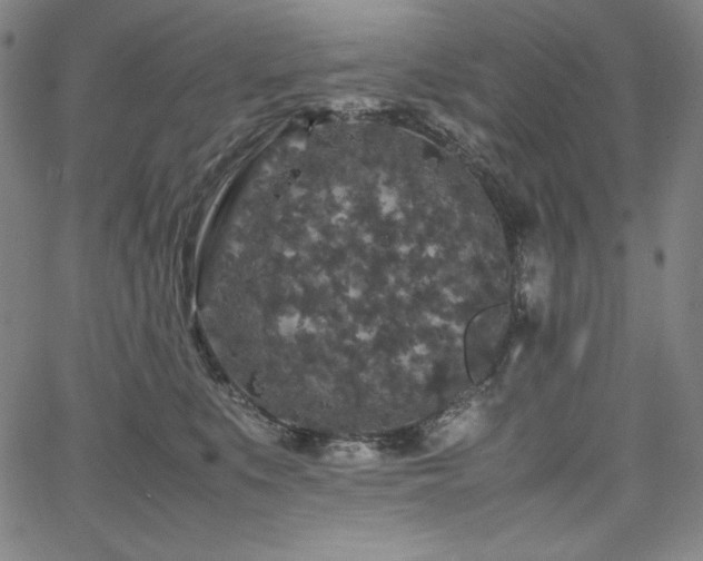 X0000067850519200604131254