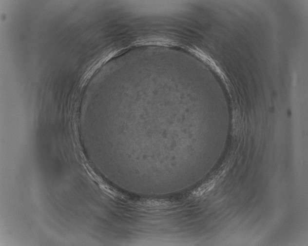 X0000067850529200604131253