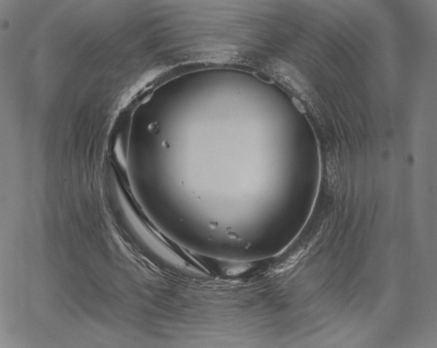 X0000067850532200604131253
