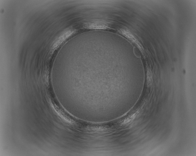 X0000067850533200604131253